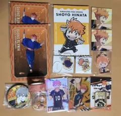 ハイキュー　日向翔陽　セット