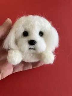 羊毛フェルト 犬　トイプードル　マルプー（プードルとマルチーズ）ブローチ