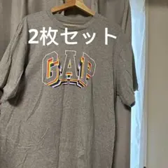 GAP カラフルロゴ Tシャツ 2枚セット　Lサイズ
