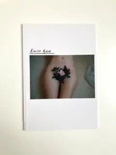 Item thumbnail for item 39a056eb-8600-4fbe-890a-5db5802cc1a9