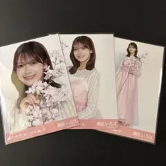 乃木坂46 生写真　桜カラーコーデ　3種コンプ　奥田いろはのサムネイル