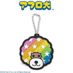 アフロ犬　メジャー