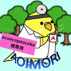 ecoecopeaceke様 リクエスト 2点 まとめ商品