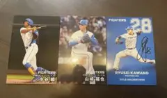 プロ野球チップス 2025 日ハム 水谷 福也 河野竜生 サイン入り