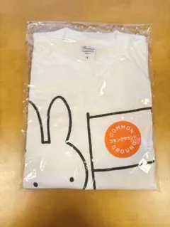 Item thumbnail for item 2e24df94-a706-4196-aa78-64cb0d8182ad