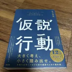仮説行動 馬場雄明著 ダイヤモンド社