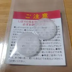 Item thumbnail for item 98929f61-f2d6-4a0b-ba6f-e8f84be24c38