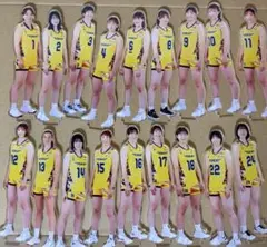 東レアローズ滋賀　イエローアクスタ