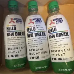 嵐サイダー　ペットボトル3本