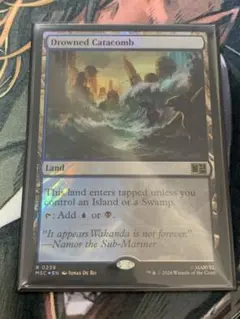 MTG グルームレイクの境界 英語 - メルカリ