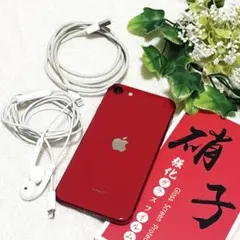 極美品✨ iPhone SE2 第二世代 64GB レッド 赤 フィルム付