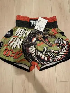 Item thumbnail for item 5ce66062-40c4-42a0-94f6-a4ef9cadd2be