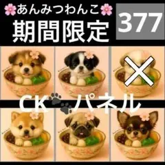 【377】CK様パネル生地（シェルティ・狆・シーズ・柴・パグ・チワワ）