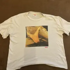 Supreme Rembrandt Tシャツ Mサイズ 丈切ってます。