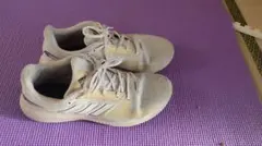 Adidas RUN FALCON 2.0 メンズスニーカー ホワイト/グレー