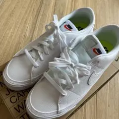 WMNS NIKE COURT LEGACY NN 27.0cm