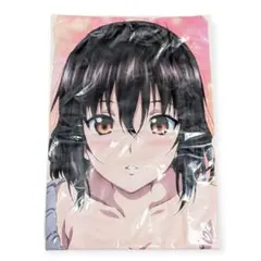 ストライク ザ ブラッド　姫柊雪菜　バスタオル 駿河屋 - 【買取】姫柊雪菜 ビッグマイクロファイバータオル