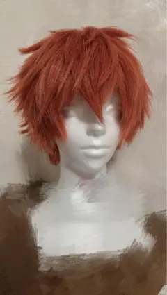 REBORN 沢田綱吉 コスプレ ウィッグ - メルカリ