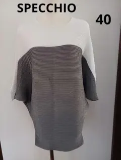 SPECCHIO ホワイトとグレーのストライプ 半袖トップス 40 インナー