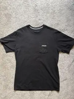 【美品】patagonia 定番ロゴポケットT