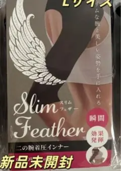 Item thumbnail for item 4a41310e-d18c-4732-915e-878e8797286e