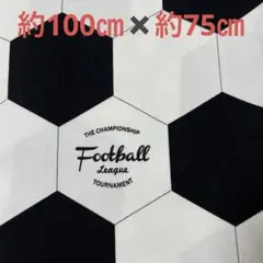 生地　布　ハギレ　サッカー　日本製　オックス　入園入学