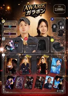 【限定】清水舞友 DYNASTY ダーツライブカード 超レアのサムネイル