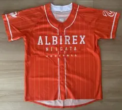 アルビレックス新潟 ベースボールシャツ