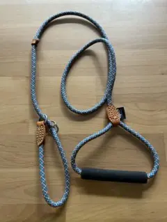 Item thumbnail for item 10e5e2df-1551-493b-ad9c-51b60b13cf99