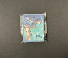 mygo ミニ　スリーブ ブシロード スリーブコレクション ミニ Vol.791 BanG Dream