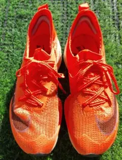 2026年最新】アルファフライ24.5の人気アイテム - メルカリ