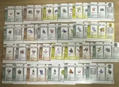 ポケモンバトルカードe+ まとめ売り【5570