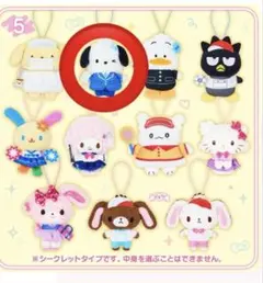 サンリオ　シークレットマスコット　ポチャコ