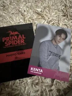 神谷健太PRIMAL SPIDER CARD -B- トレカ