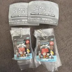 ピーナッツ　ビスケットミニチュアチャーム　スタンドパック　チョコチップ　ガチャ