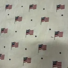 Item thumbnail for item 5bbfabed-b2a3-4680-9d42-6a11df1514d2