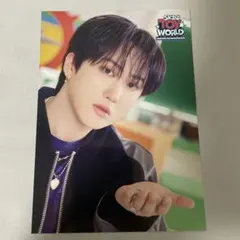 SKZ TOY WORLD ランダムトレカ チャンビン