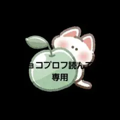 チョコプロフ読んで様専用ページ