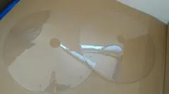 Item thumbnail for item 8b6d2026-5e5f-4c5a-ab09-f0e041b15210