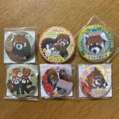 のんほいパーク レッサーパンダ 缶バッジ 6個セット