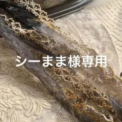 Item thumbnail for item 9a251c22-1856-4fb0-aa01-2d91a92403b3