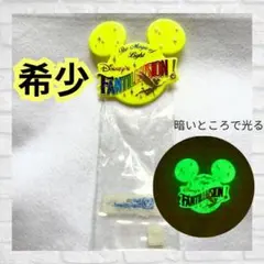 ディズニーランド　チケットホルダー☆光る☆ レトロ　レア品