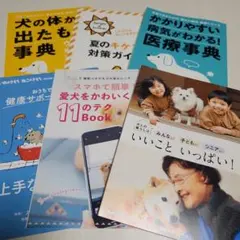 Item thumbnail for item 97985543-95b3-4040-9eec-3a23c9b29555