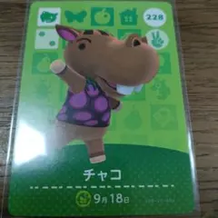 あつまれどうぶつの森　amiiboカード　チャコ