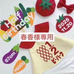 【3/19発送】春香様専用