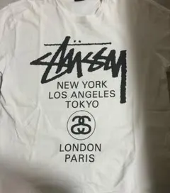 STUSSY ワールドツアー ロゴTシャツ ホワイト
