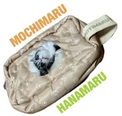 Item thumbnail for item 022507d3-a9cb-4623-af28-51fe682863f4