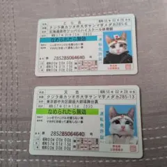 なめ猫 なめんなよ カードコレクション　免許証　２枚
