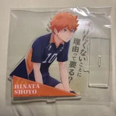 美品　ハイキュー　一番くじ　BIGアクリルスタンド　日向　日向翔陽　アクスタ