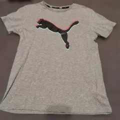 PUMA グレー Tシャツ　160